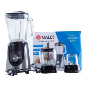 BLENDER GS-319 / 3 In 1 - 600W